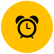bee studio